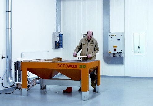 Octopus20